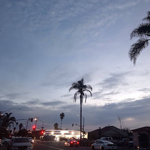 Meet your Posher, Gabi